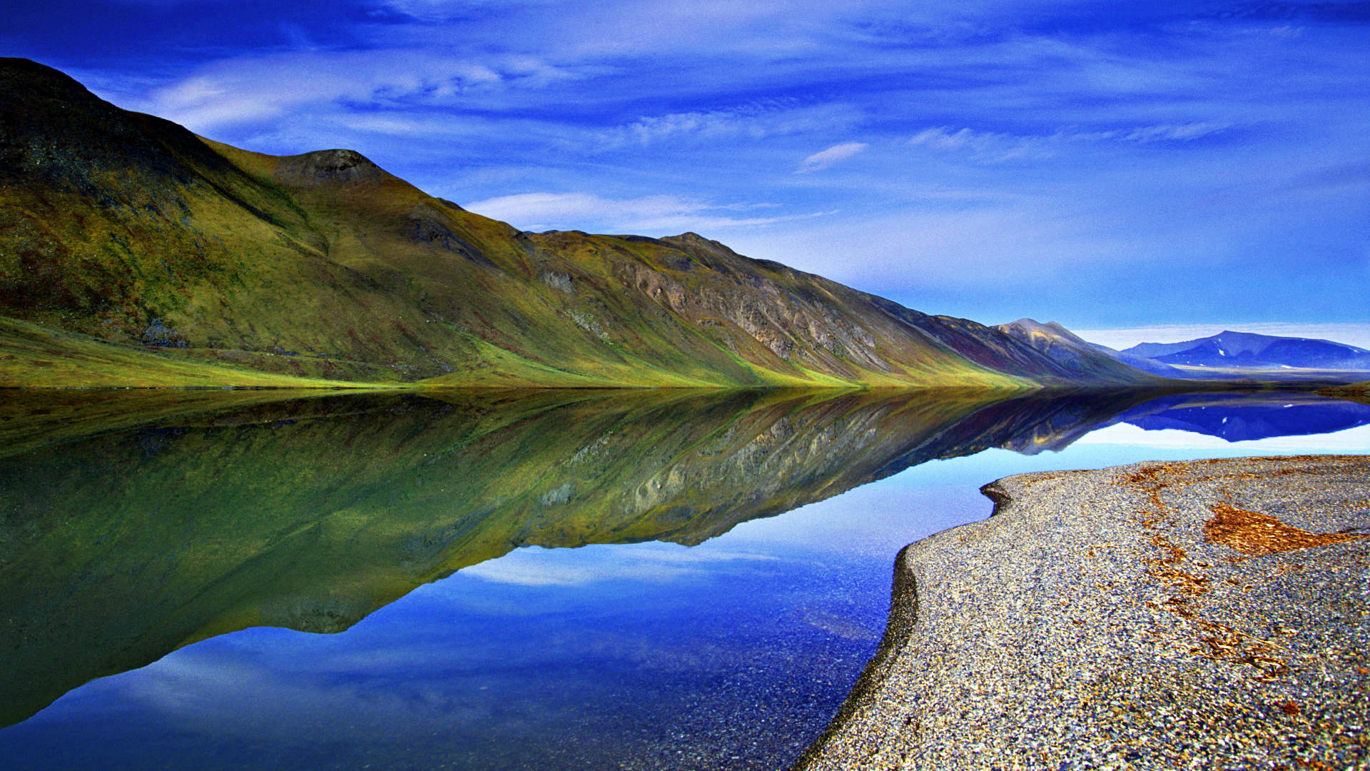 Reflection [Translated In English by Suman K. Sharma]
